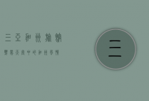 三亚加州旅馆，热带天堂中的加州风情