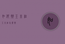 如何掰玉米粒（玉米粒怎么掰）