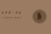乌龟灯，一盏照亮心灵与自然的温暖之光