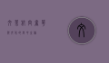 文莱航空，奢华与文化的空中之旅