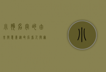 小狗名字的由来与意义，从命名看人与宠物的情感纽带