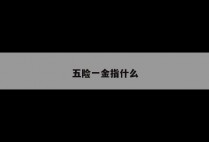 五险一金指什么