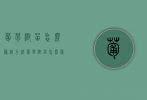 葡萄树苗怎么种植方法（葡萄树苗怎么种植效果好）（葡萄树咋种）