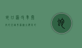 蛇口港，改革开放的先锋，粤港澳大湾区的枢纽