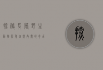 探秘长隆野生动物园，与自然共舞的奇幻之旅