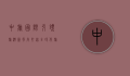 中旅国际，引领旅游新风尚，打造全球化旅游体验