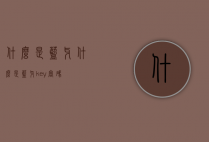 什么是蓝牙（什么是蓝牙key密码）