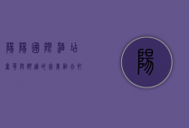 阳阳国际酒店，奢华与舒适的完美融合，打造卓越入住体验