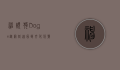 神烦狗Doge，从网络迷因到文化符号的演变