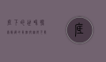底下的世界，探索隐藏的真相与无限可能