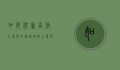 如何撰写高效且专业的导师邮件主题，提升沟通效果的关键