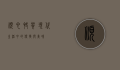 顺心快餐，现代生活中的便捷与美味