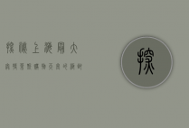 探秘上海最大奥特莱斯，购物天堂的极致体验