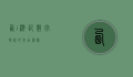 西i游记，数字时代的奇幻冒险