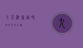 九天游，穿越时空的奇幻之旅