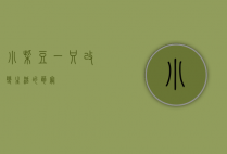 小柴豆，一只改变生活的萌宠