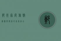 郑州家庭旅馆，温馨与便利的完美结合