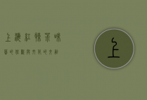 上海红辣椒，味蕾的狂欢与文化的交融