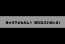 云南樱花病虫怎么办（樱花常见的病虫害）