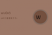 wiv0x5per0手机价格多少（visual studio code怎么创建php）