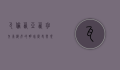 瓦伦西亚，西班牙东海岸的明珠，历史与现代的交融之地