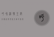 呼和浩特王府井，传统与现代交融的商业新地标
