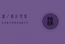 深圳网红现象，城市魅力与数字经济的交汇点