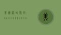 美国网站，数字时代的全球影响力与文化输出