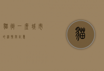 猫街，一座城市的温情与记忆