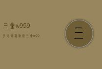 三星w999多少钱移动版（三星w999图片大全）