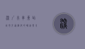 深圳火车东站，城市交通枢纽的崛起与未来展望