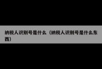 纳税人识别号是什么（纳税人识别号是什么东西）