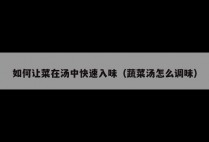 如何让菜在汤中快速入味（蔬菜汤怎么调味）