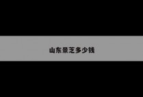 山东景芝多少钱