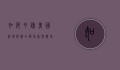 如何申请美国法学院校，全面指南与实用建议