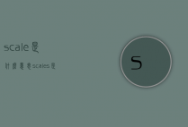 scale是什么意思（scales是什么意思）