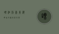 嵊泗列岛，东海明珠的秘境与风情