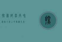 探索帕劳共和国，太平洋上的隐秘天堂