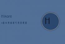 Hikorea网站,韩国移民与签证服务的全方位指南