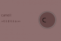 camellia是什么化妆品（camela是什么牌子衣服）