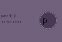 pass是什么意思（pass是什么意思车上的功能）
