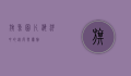 旗鱼图片，海洋中的速度与优雅