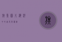 旗鱼图片，海洋中的速度与优雅