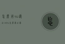 怎么用su导出cad（su怎么导出图）
