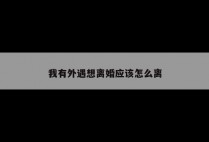 我有外遇想离婚应该怎么离
