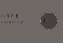 cia是什么（cia是什么职位干什么的）