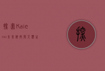 探索Kaiensi，未来科技与人类生活的交汇点
