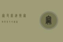 宠友网，连接宠物与爱心的桥梁