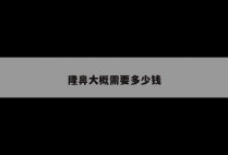 隆鼻大概需要多少钱