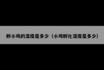 孵小鸡的湿度是多少（小鸡孵化湿度是多少）